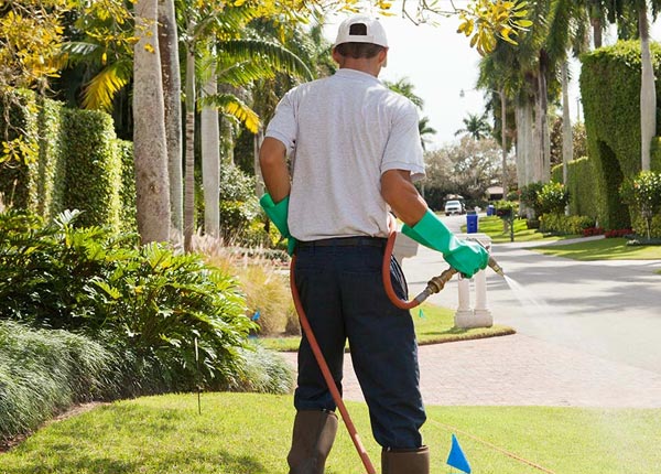 About Ickesburg PA Pest Control